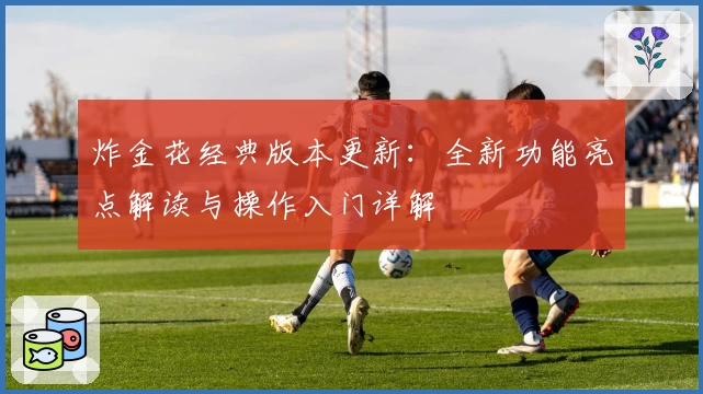 炸金花经典版本更新：全新功能亮点解读与操作入门详解
