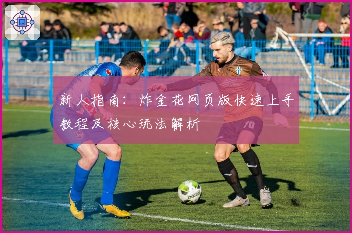 新人指南：炸金花网页版快速上手教程及核心玩法解析