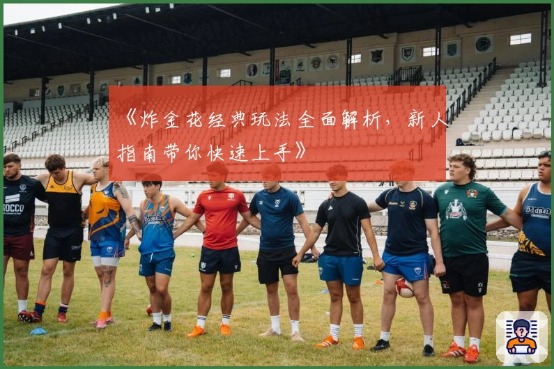 《炸金花经典玩法全面解析,新人指南带你快速上手》