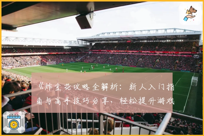 《炸金花攻略全解析:新人入门指南与高手技巧分享,轻松提升游戏体验》