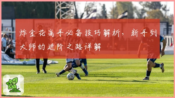 炸金花高手必备技巧解析,新手到大师的进阶之路详解