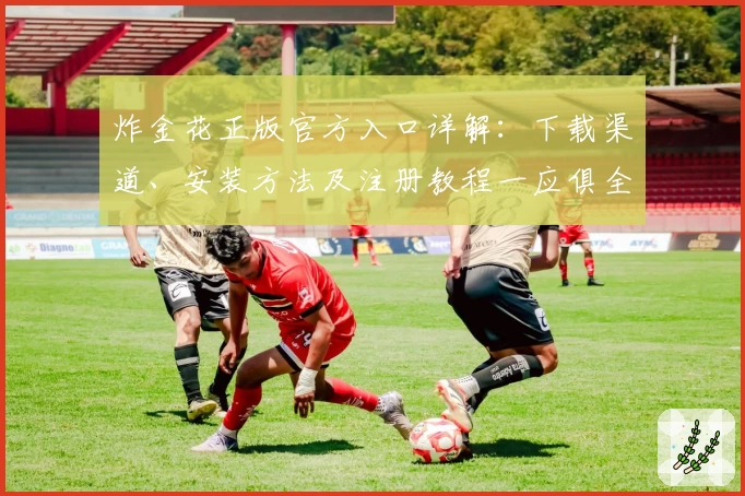 炸金花正版官方入口详解:下载渠道、安装方法及注册教程一应俱全