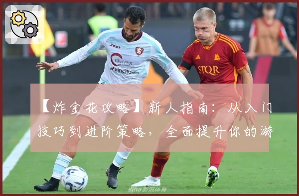 【炸金花攻略】新人指南：从入门技巧到进阶策略，全面提升你的游戏水平