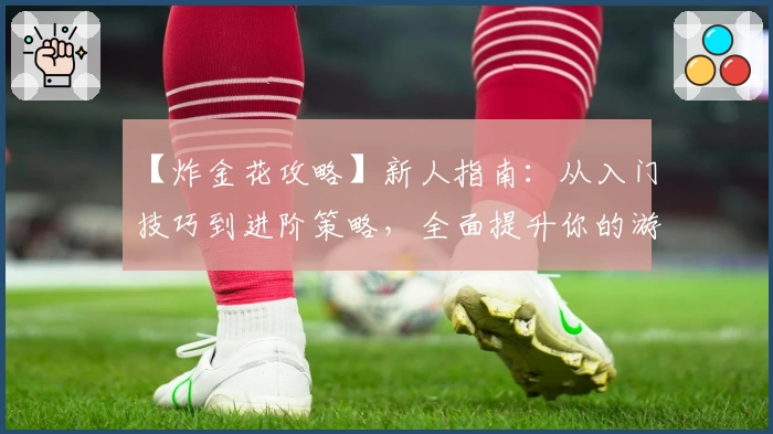 【炸金花攻略】新人指南：从入门技巧到进阶策略，全面提升你的游戏水平